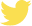 Twitter Icon